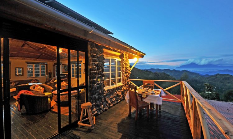 Best Lodges for Gorilla Trekking in Bwindi