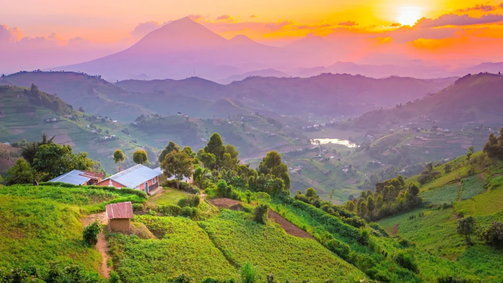 Best Time to Visit Uganda (Month-by-Month Breakdown)