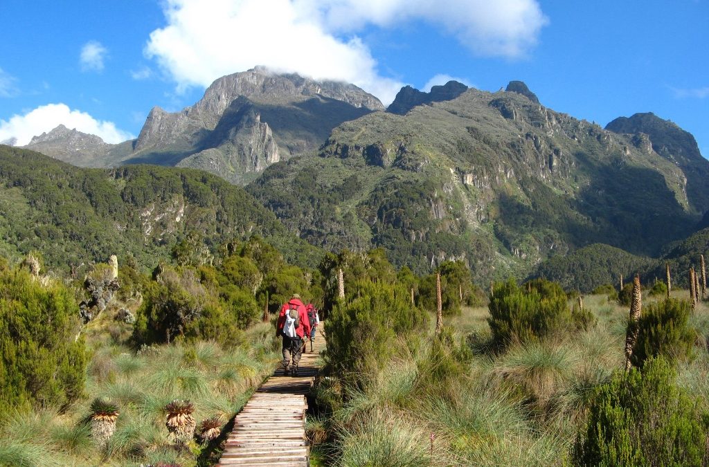 Hiking Mount Elgon: What You Need to Know