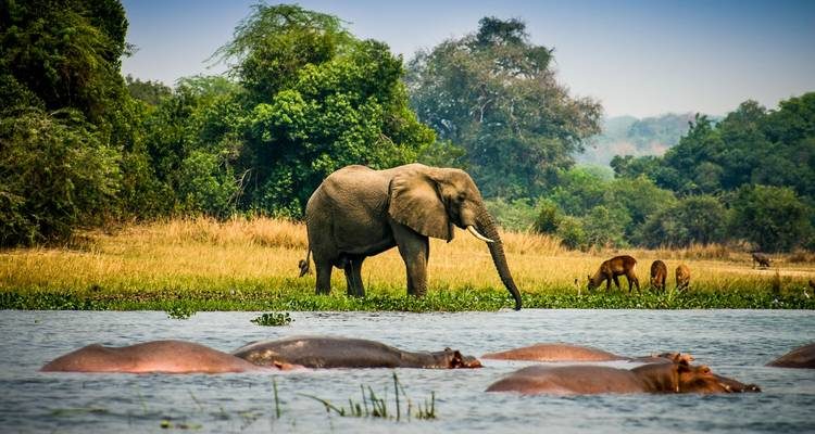 Off-the-Beaten-Path in Uganda: Hidden Gems to Discover