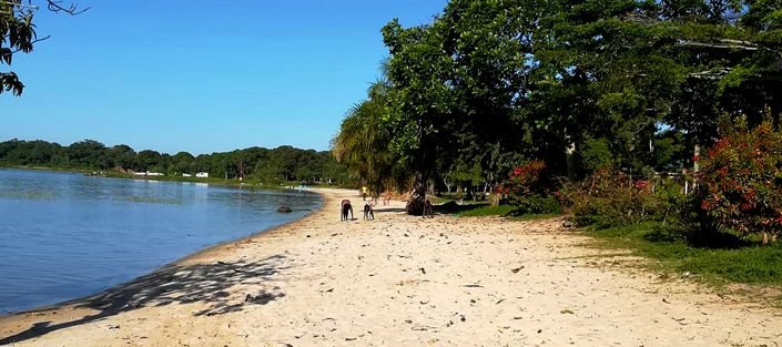Ssese Islands: Uganda’s Tropical Archipelago Escape