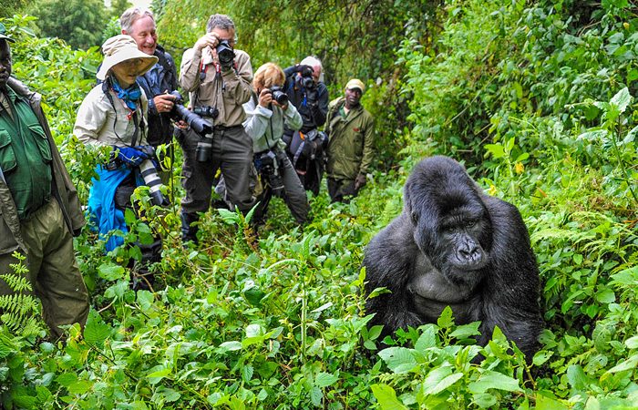 The Pearl of Africa: Why Uganda Deserves More Tourists