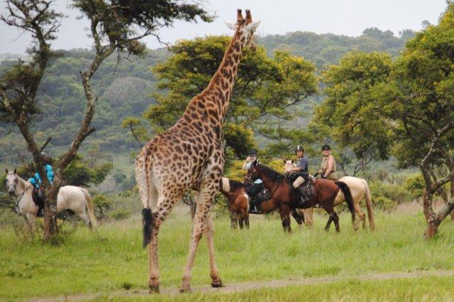 Uganda Travel Guide 2025: Everything You Need to Know
