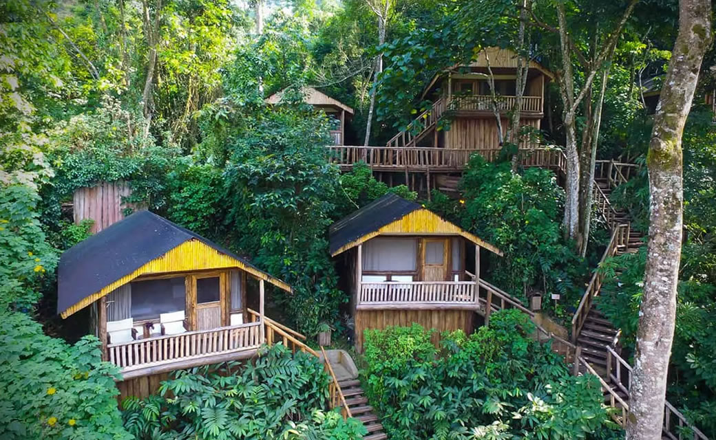 Unique Eco-Lodges in Uganda Worth Booking