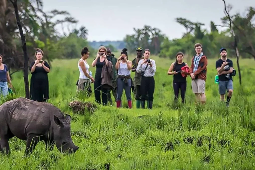 Wildlife Conservation Volunteering in Uganda