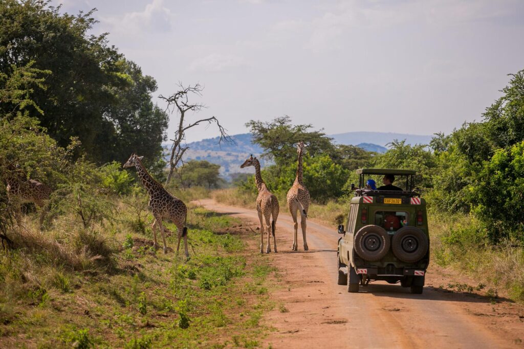 Best Time to Visit Rwanda (With Seasonal Tips)