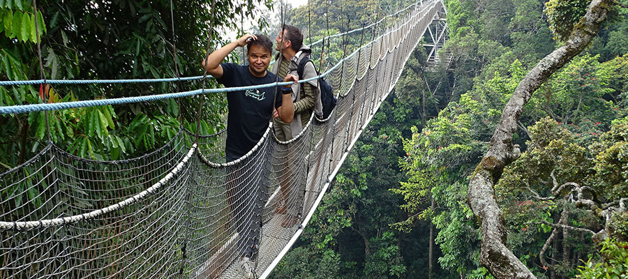 Eco-Adventures in Rwanda: Sustainable Travel Ideas