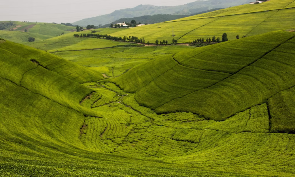 Money & Budgeting for Rwanda Travel