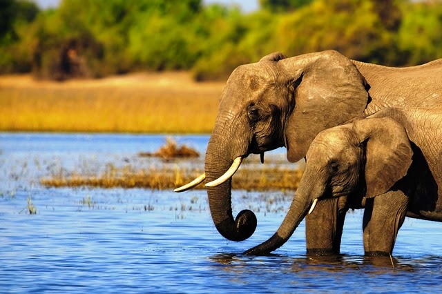 Nature Photography in Rwanda: Top Spots