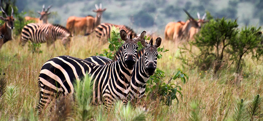 Nature Reserves in Rwanda You Didn’t Know Existed