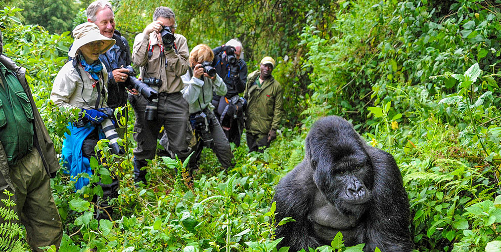 Rwanda Beyond the Genocide: A New Narrative