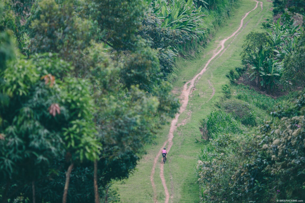 Rwanda’s Volcano Trails: Trekking Through the Virungas
