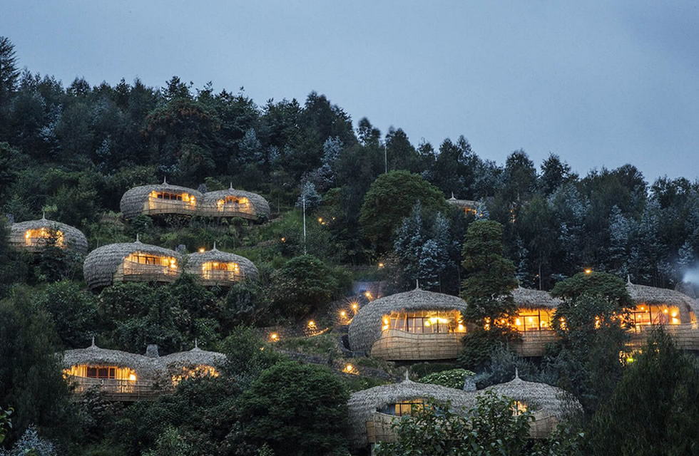 Top Eco-Lodges in Rwanda for Nature Lovers