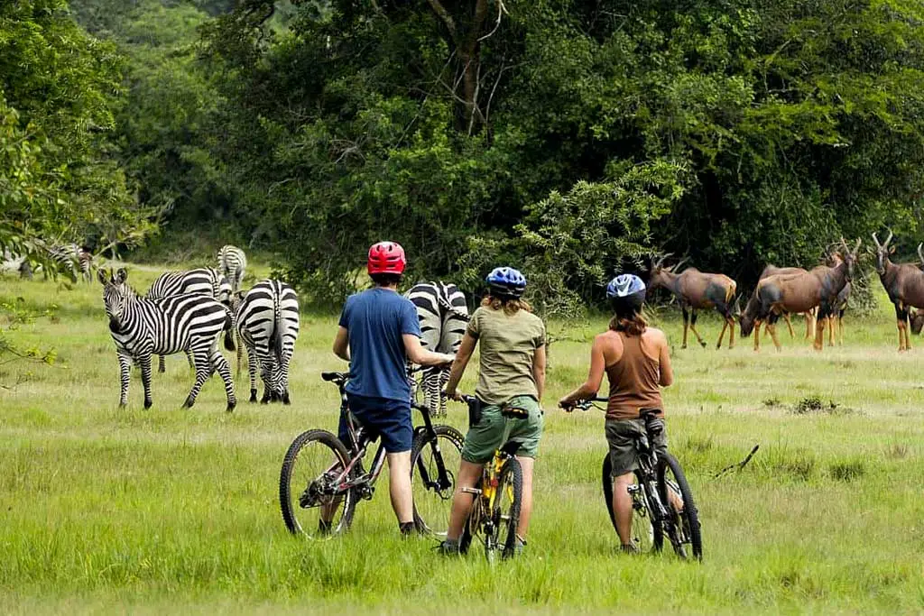 Adventure Travel in Uganda: Beyond the Safari Jeep