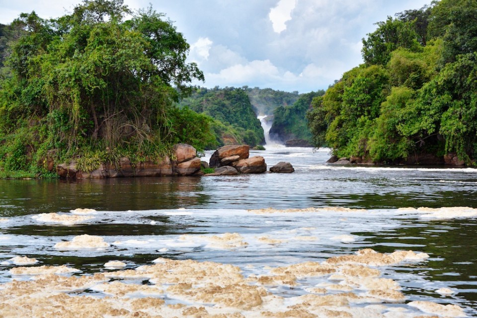 Best Time to Visit Murchison Falls for Safari Adventures