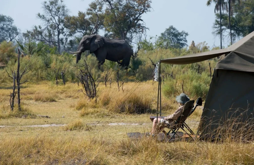 Camping Adventures in Uganda’s Wilderness