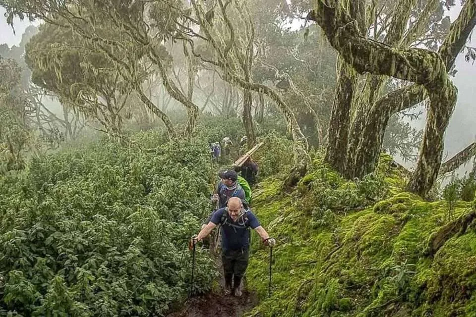 Combining Safaris with Hiking in Uganda
