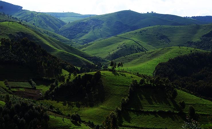 Discover Rwanda’s Rolling Hills