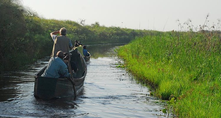 Exploring Uganda’s Wetlands