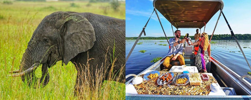 Honeymoon Safaris in Uganda: Romance in the Wild