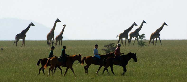 Horseback Safaris in Uganda’s Wilderness
