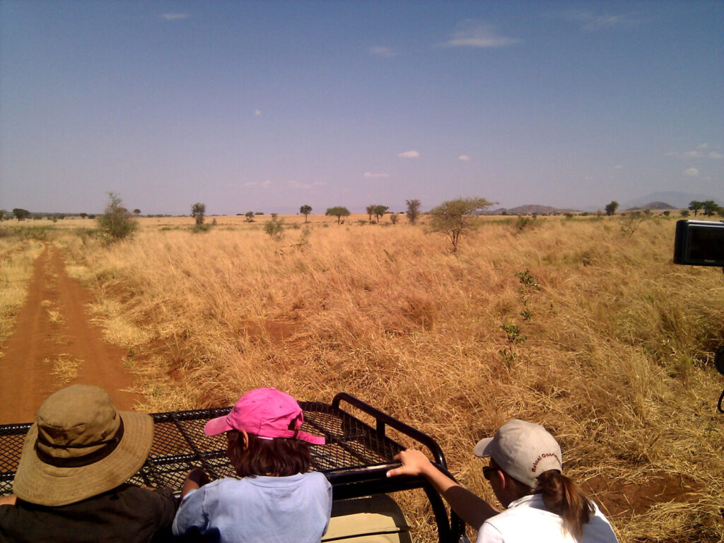 How to Get to Kidepo Valley National Park