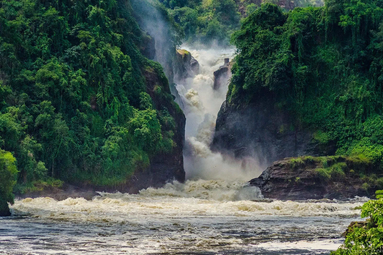 Nile River Safaris in Murchison Falls National Park