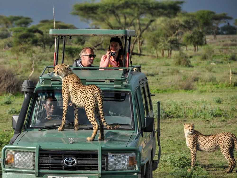 Road Trips to Uganda’s Safari Destinations