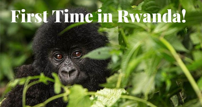 Rwanda for First-Time Visitors