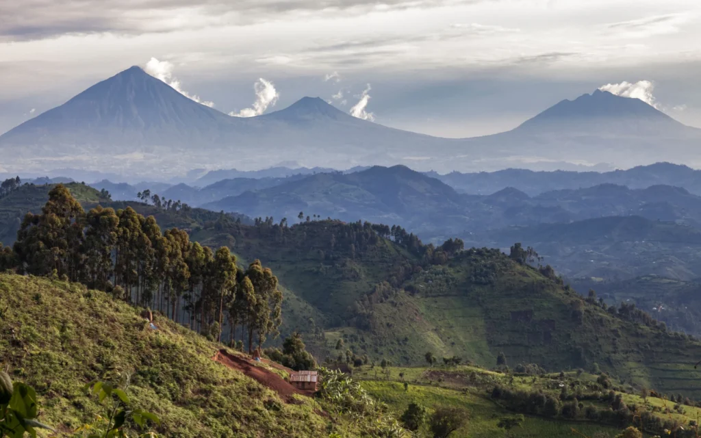Rwanda’s Best Travel Seasons