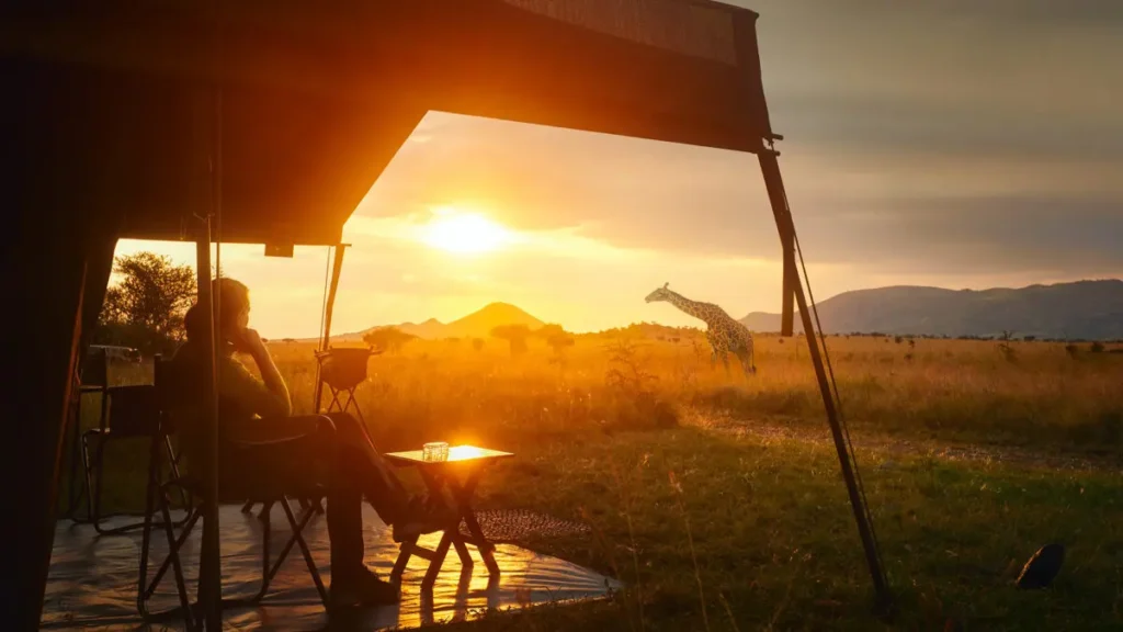 The Best Photographic Spots in Uganda’s Safari Parks