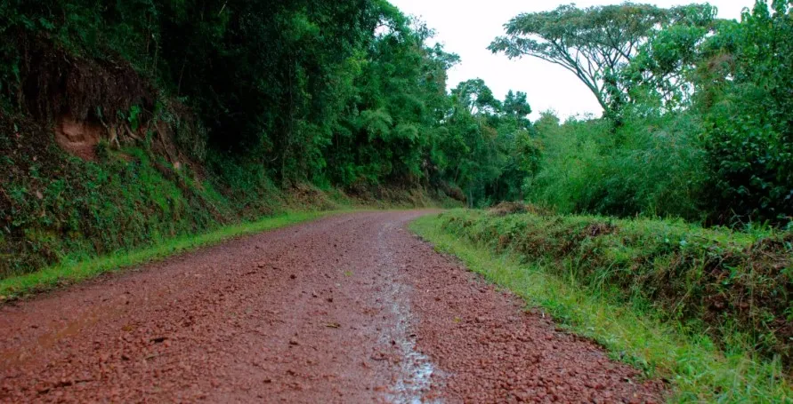 The Most Scenic Safari Routes in Uganda
