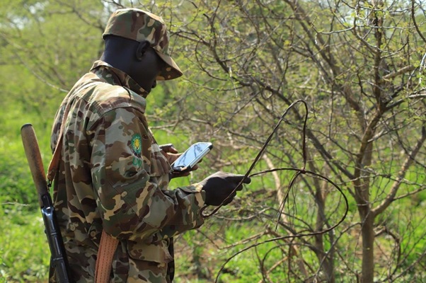 The Role of Uganda’s Rangers in Safari Conservation