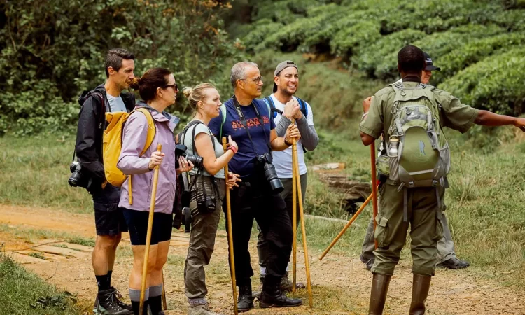 Uganda Safari Adventures for Photographers