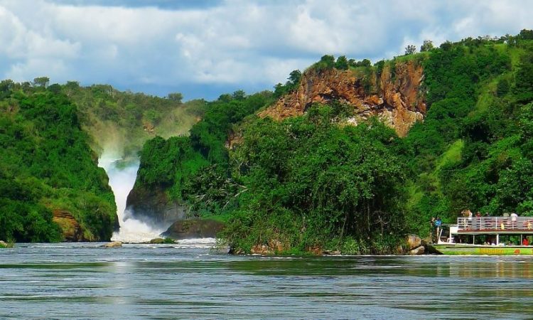 Uganda Safaris: What to Expect on Your Adventure