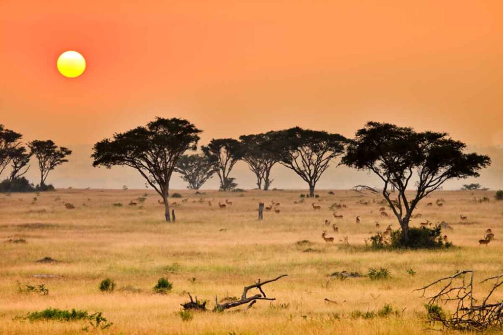 Uganda’s Beautiful Savannah Landscapes