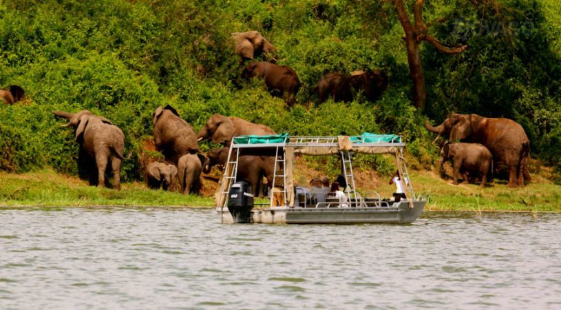 Uganda’s Best River Safaris