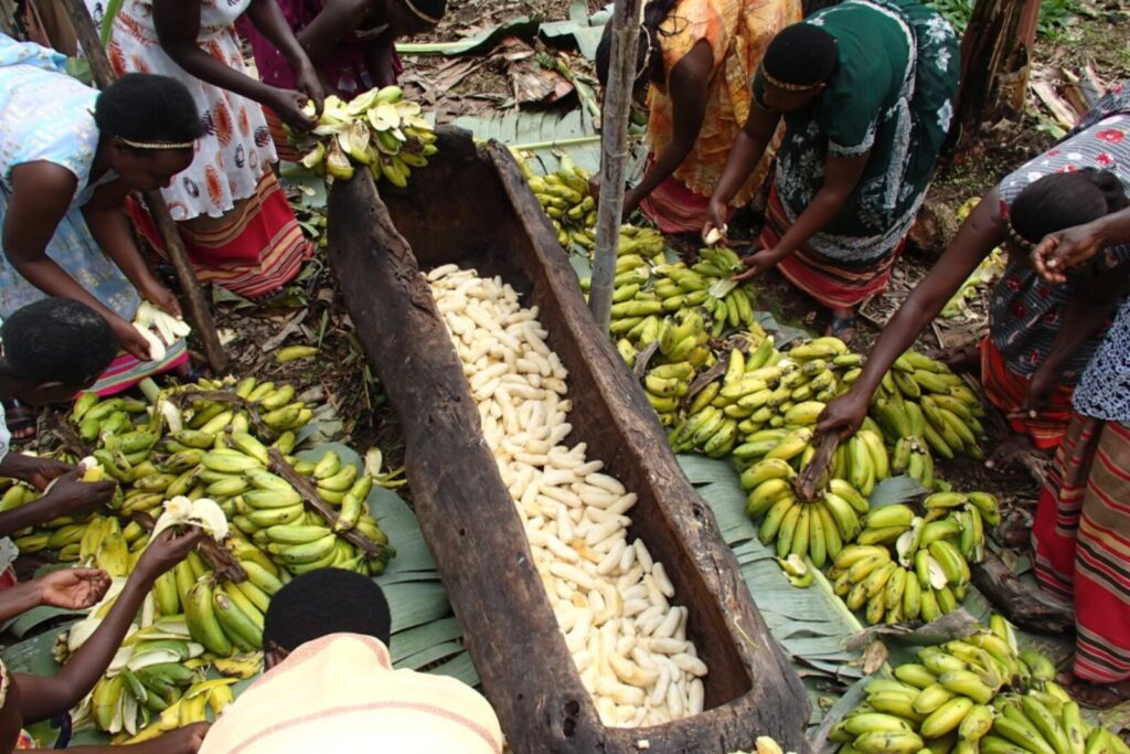 Uganda’s Local Brewing Traditions