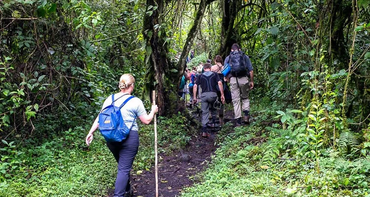 Uganda’s Most Relaxing Nature Walks