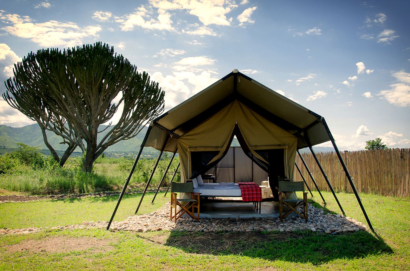 Uganda’s Safari Camps: What to Expect in the Wild