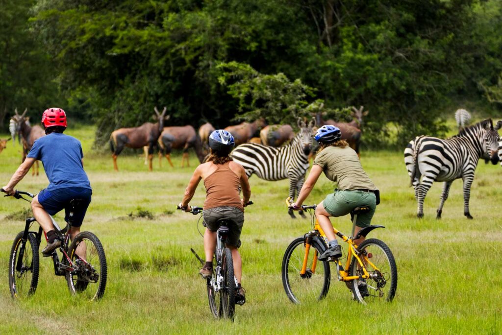 Uganda’s Safari Hotspots for Families