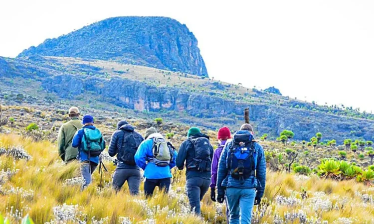 Uganda’s Top Hiking Trails
