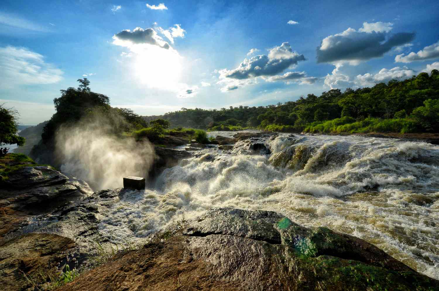 Uganda’s Untamed Beauty: A Safari Lover’s Paradise