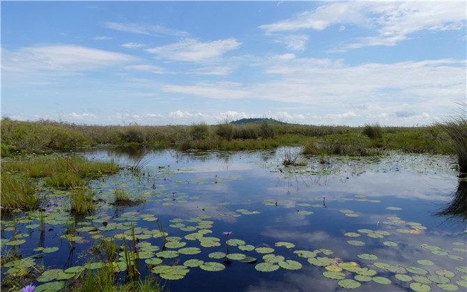 Uganda’s Wetland Safaris: What You’ll Discover