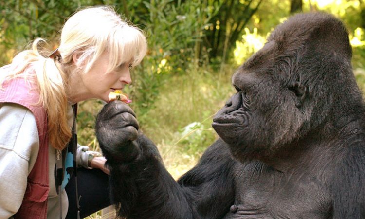 Why Uganda is Called the “Pearl of Africa”
