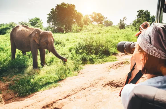 Wildlife Photography Trips in Uganda