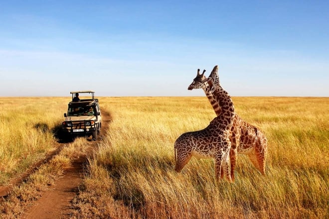 5-Day Kenya Safari