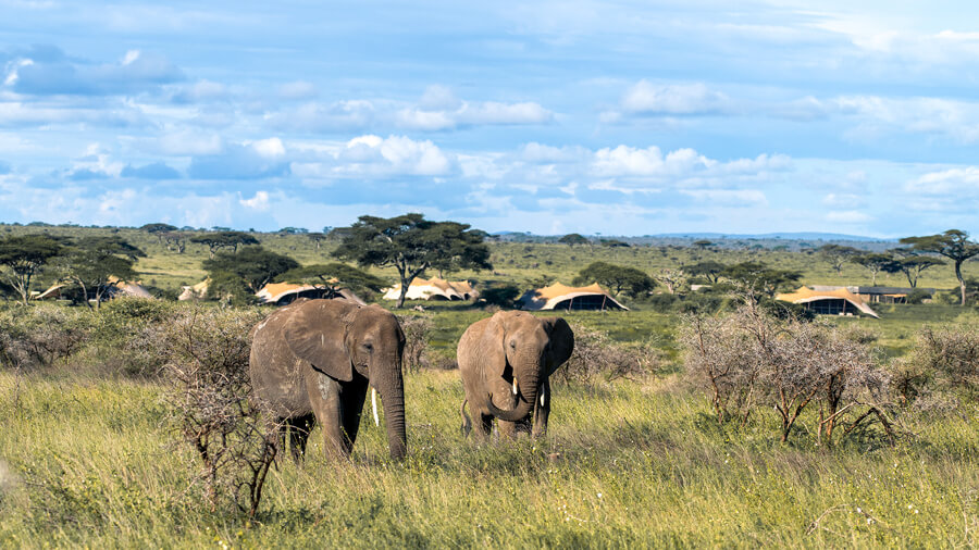 10-Day Tanzania Wildlife Safari