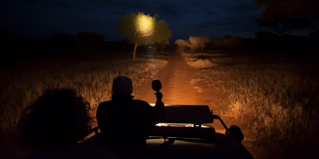 Are night game drives allowed in Kenya?