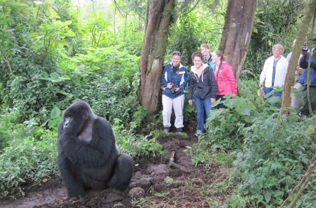 Are there malaria-free zones in East Africa?